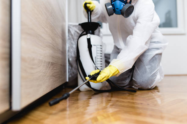 Best Wasp Removal Services  in Morris, OK