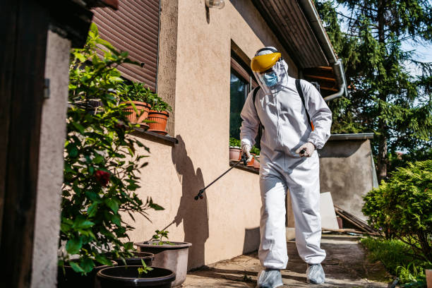 Best Cockroach Control Services  in Morris, OK