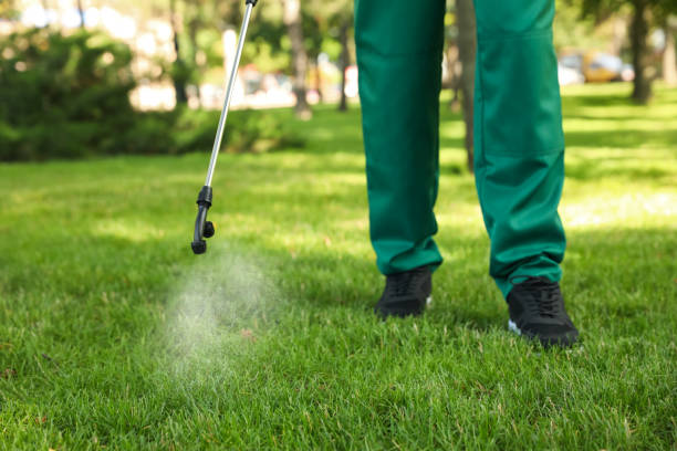 Best Best Pest Control Companies  in Morris, OK