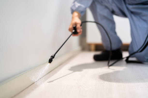 Best Pest Prevention Services  in Morris, OK