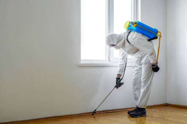 Best Affordable Pest Control Services  in Morris, OK