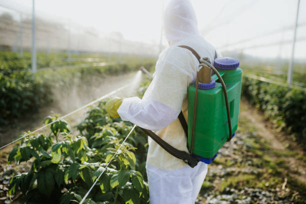 Best Residential Pest Control  in Morris, OK